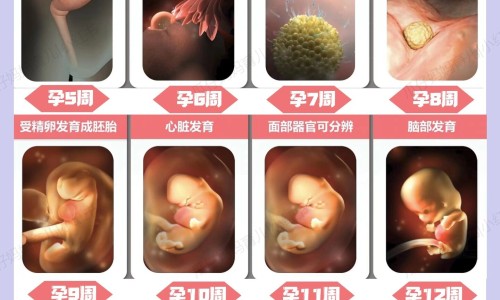 大肚孕妇难产惨叫视频-大肚孕妇难产惨叫网 - 为你提供大肚难产影视合集、大肚孕夫怀孕生产难产